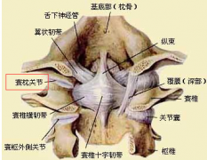 脖子短、四肢无力、肌肉萎缩是什么病？患者