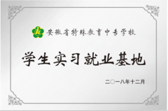 安徽省特殊教育中专学校学生实习就业基地