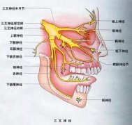 三叉神经痛怎么办？学学李大姐轻松摆脱“天下第一痛”！