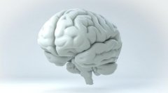预防脑积水，守护儿童健康【康复课堂】