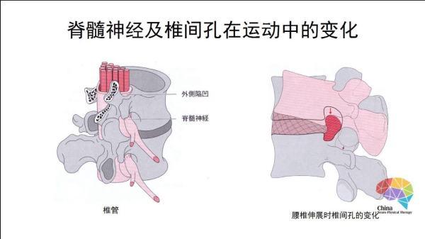 “错误的瑜伽”怎能修身养性、平静内心，调节生理的平衡
