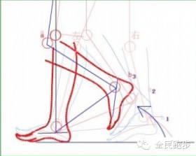 快走与慢跑，哪个减肥效果好？