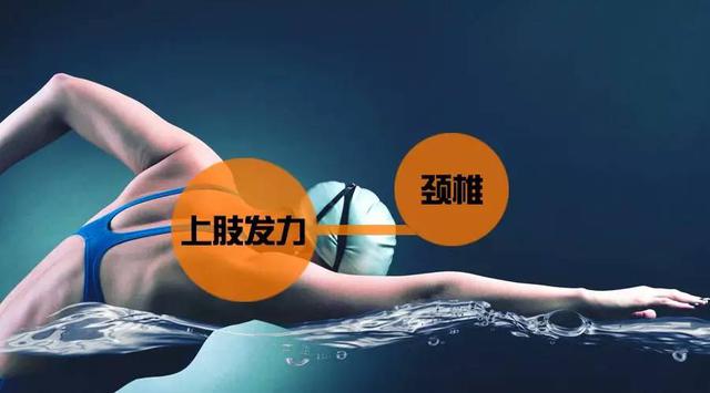 夏日，再给你一个去游泳的理由！——缓解颈椎不适的秘密