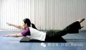 普拉提：塑造你的完美线条