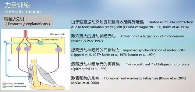 脑卒中患者的被动治疗——全身振动训练运动