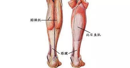 什么是跟腱炎,得了跟腱炎怎么办?黑金