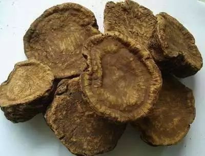 每天认识一味中药：大黄——泻热毒，破积滞，行瘀血马骏