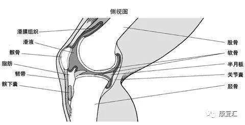 骨关节炎康复治疗患者