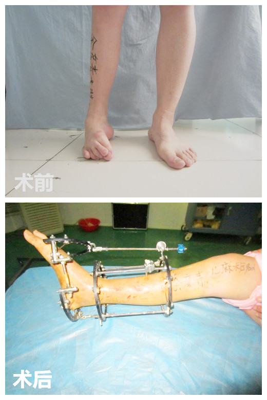 康华动态新闻