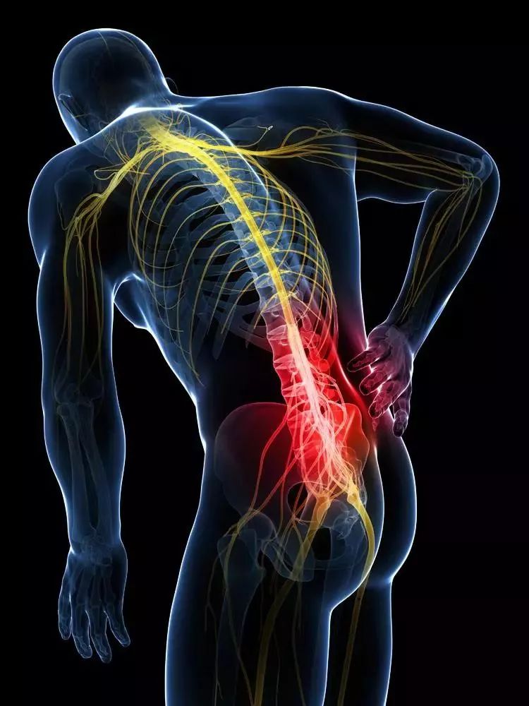 如何立竿见影解决久坐腰痛？2个动作测测你的腰还好吗？运动