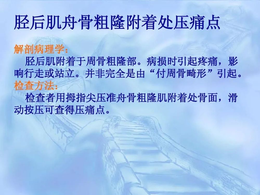 劳损性肌肉压痛点诊断检查法